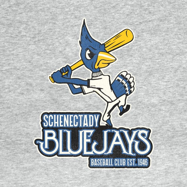 Defunct Schenectady Bluejays Baseball Team by Defunctland